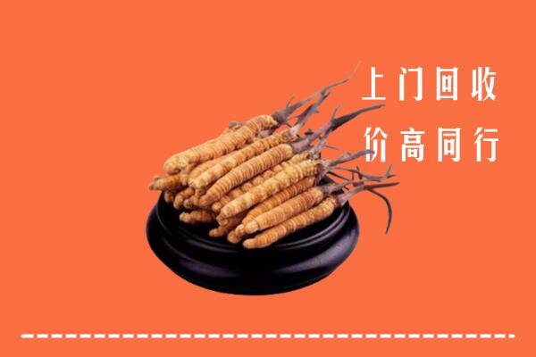 保亭县高价冬虫夏草回收多少钱每克