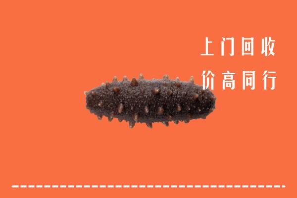 保亭县回收海参